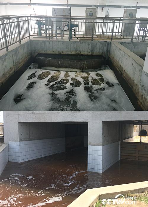 The above picture shows the outlet of the second sewage treatment plant in Jinzhou. The water is slightly green. According to the real-time monitoring by the environmental protection department, it reaches the first-class A standard. The following picture shows the water flowing into the Hutuo River from the sewage outlet of the Hutuo River after being purified by the pretreatment tank, which is reddish brown. (Photo by Xu Hui)