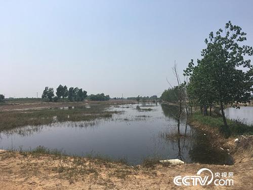A huge water storage pit was formed near the sewage outlet of Hutuo River in Jinzhou City, Hebei Province, and the water in the pit was black. (Photo by Xu Hui)